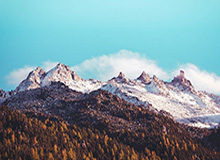 乐鱼体育登录入口：开启全新赛事体验之门